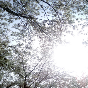 ❌❌❌❌日本人A片抢劫
